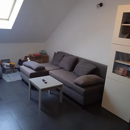 Rosa - Dom Dla 20 Osób Z Jacuzzi I Sauną Ogrodową Kaszuby Kwatera prywatna Bukowina (Lebork)